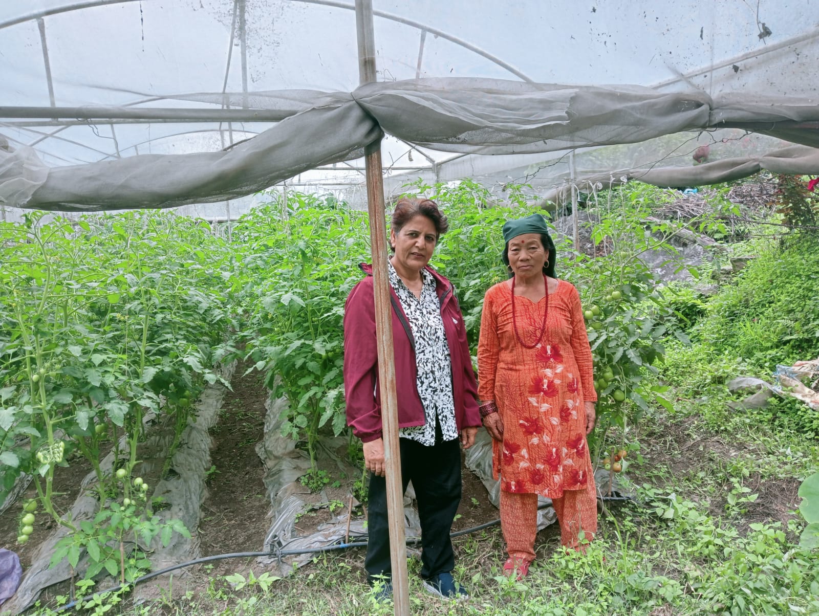 Sharda Khanal at Greenhouse Training